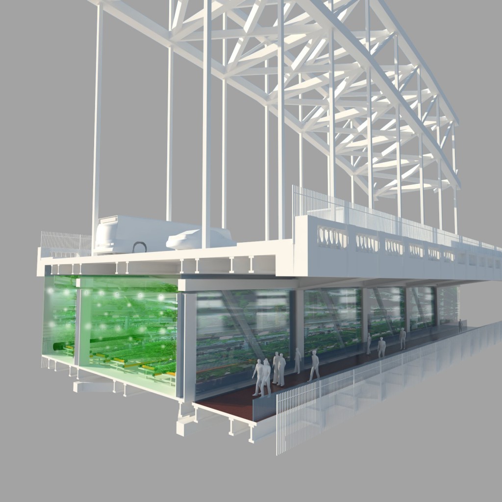 Central span with hydroponic farm